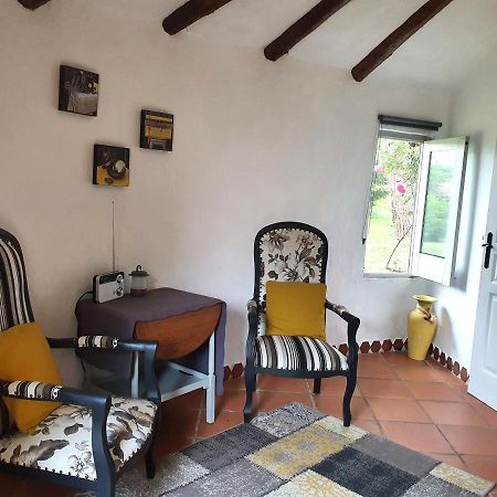 Le Clos D'Almide Monestier  Dış mekan fotoğraf
