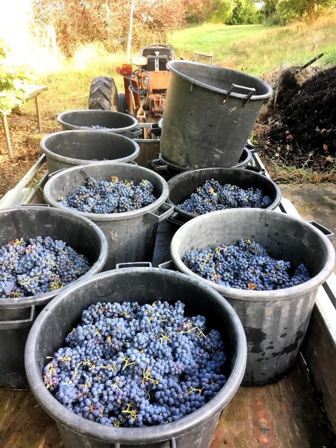 Le Clos D'Almide Monestier  Dış mekan fotoğraf