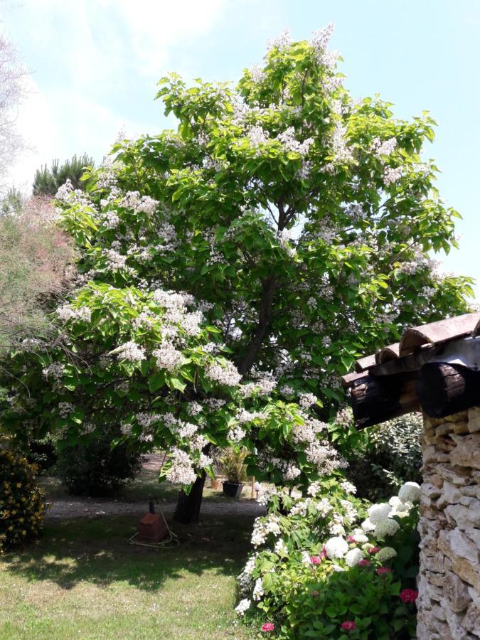 Le Clos D'Almide Monestier  Dış mekan fotoğraf
